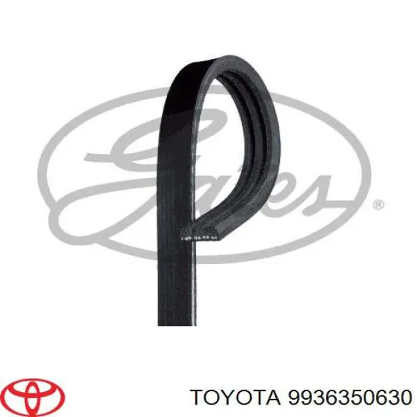 Correa trapezoidal 9936350630 Toyota