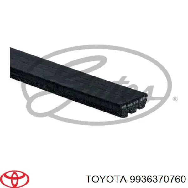 Correa trapezoidal 9936370760 Toyota