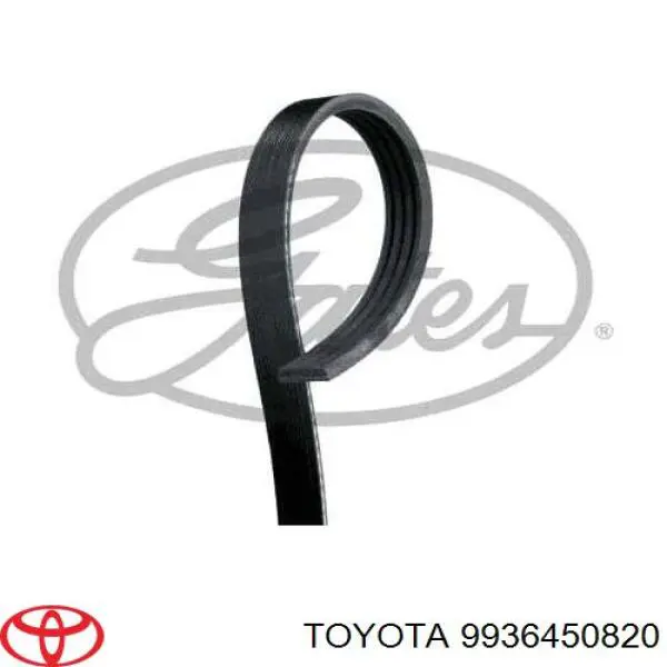 Correa trapezoidal 9936450820 Toyota