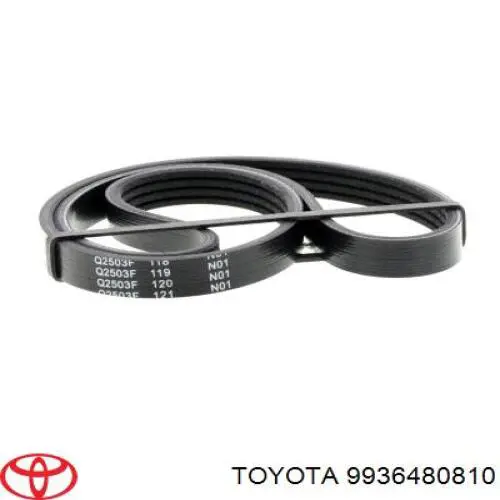 Correa trapezoidal 9936480810 Toyota