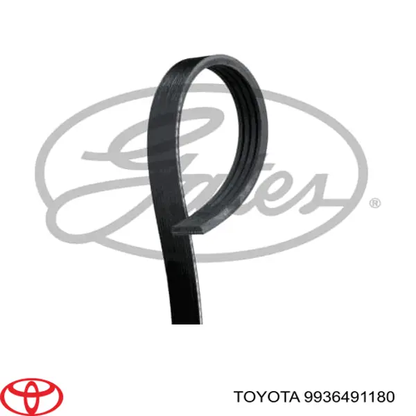 Correa trapezoidal 9936491180 Toyota