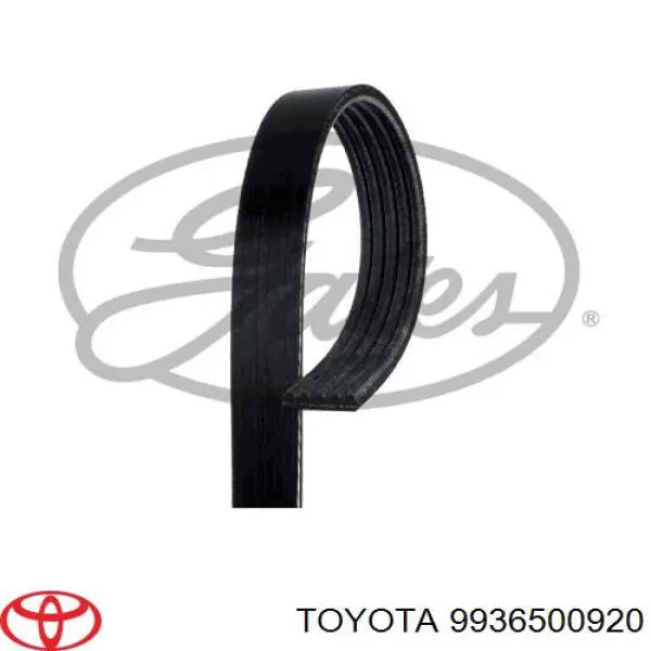 Ремень генератора 9936500920 Toyota