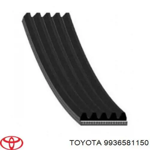 Correa trapezoidal 9936581150 Toyota