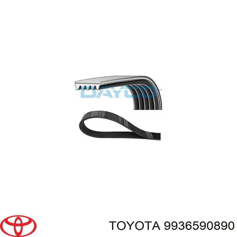 Correa trapezoidal 9936590890 Toyota