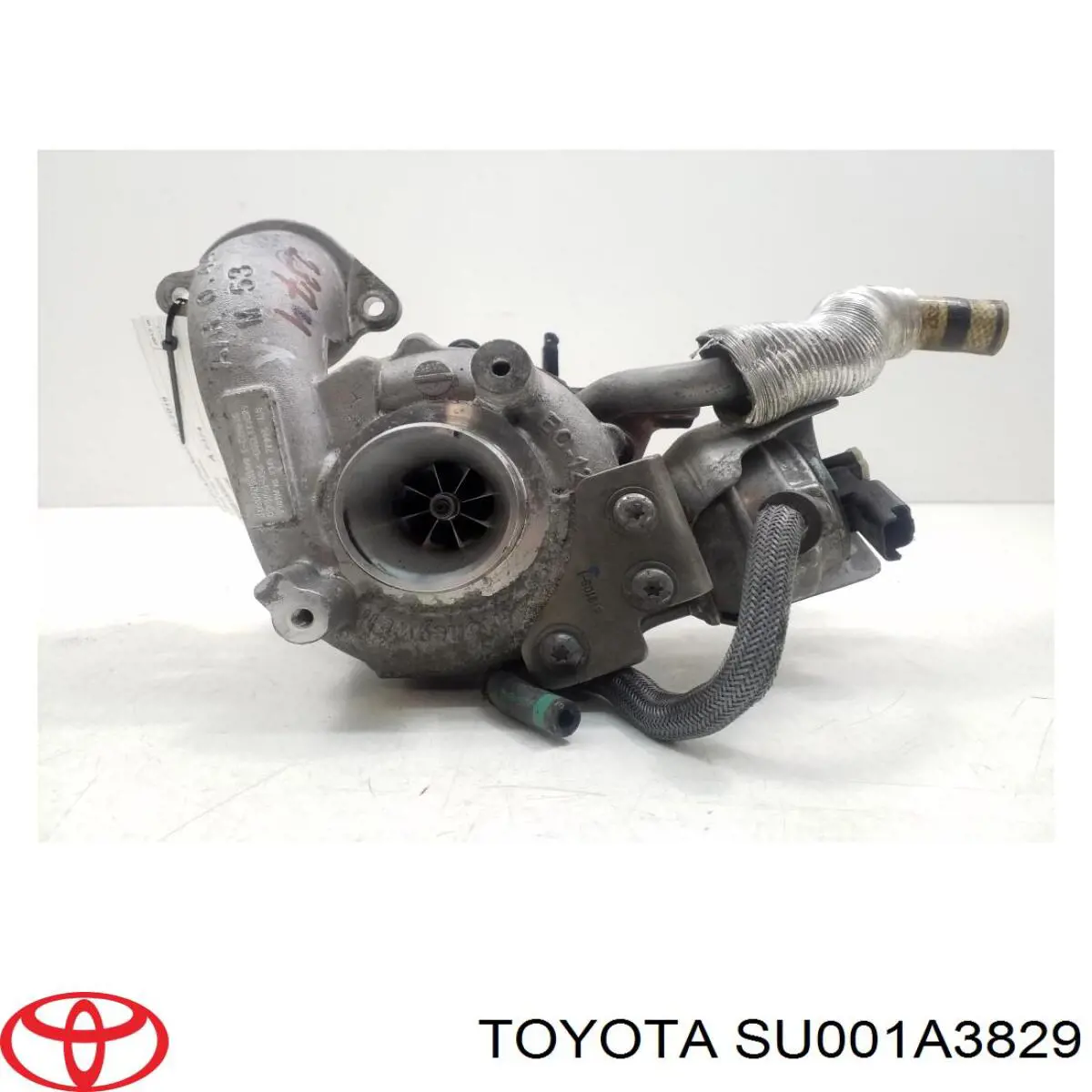 MSTUR0242 MSG Turbina