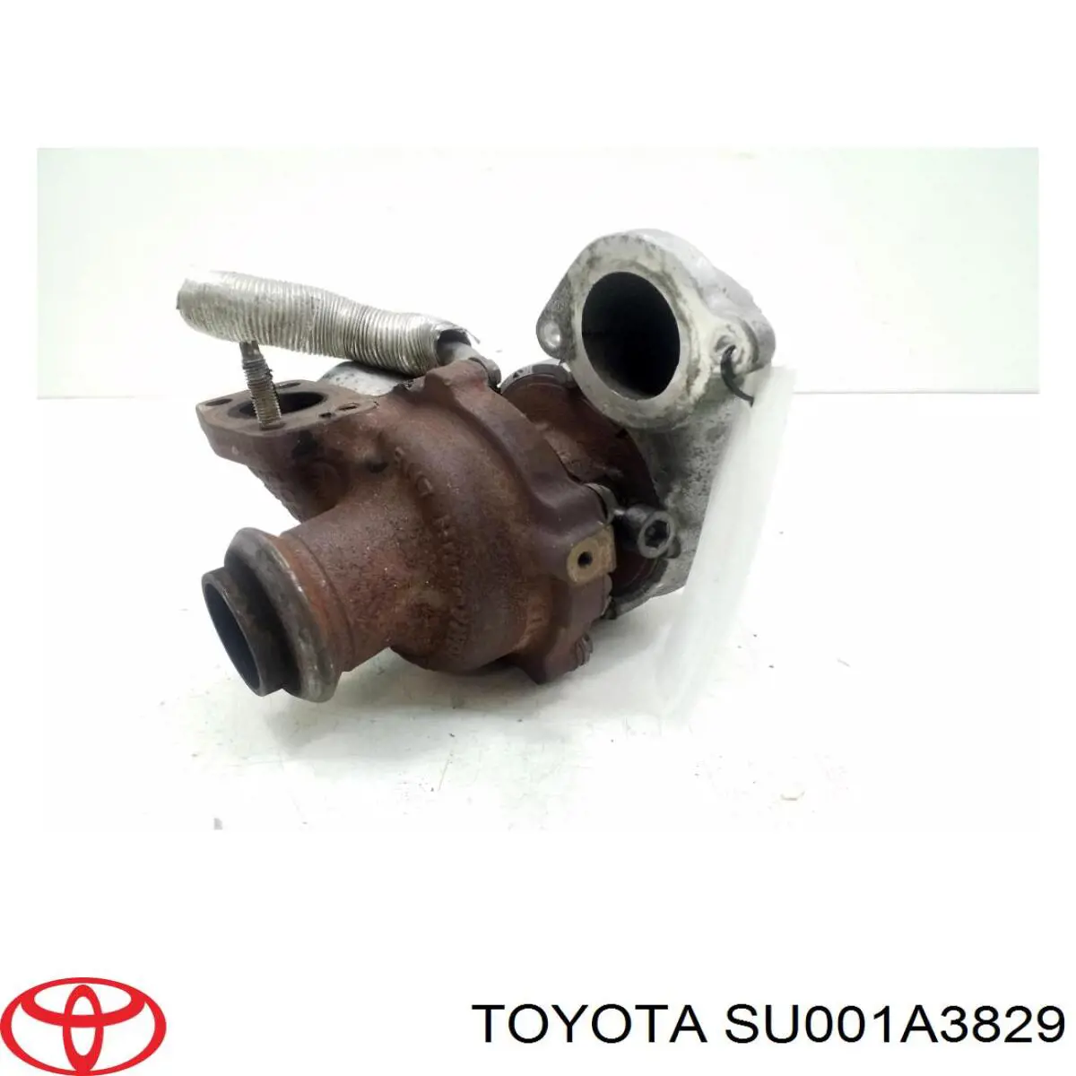 MSTUR0242 MSG Turbina