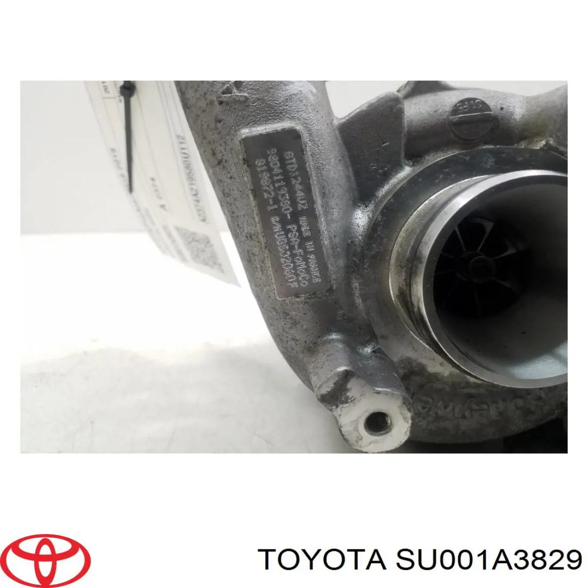 Turbina MSG MSTUR0242 preço, a partir de 408,93 USD