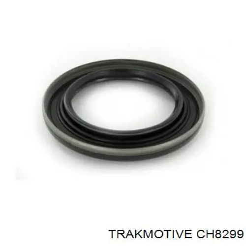 CH8299 Trakmotive/Surtrack 