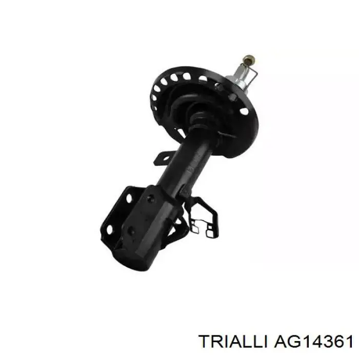 Купить AG14361 Trialli Амортизатор подвески передний правый