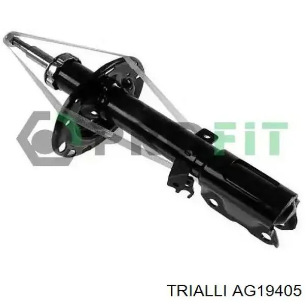 Амортизатор задний, правый Trialli AG19405 цена, от 37.32 USD