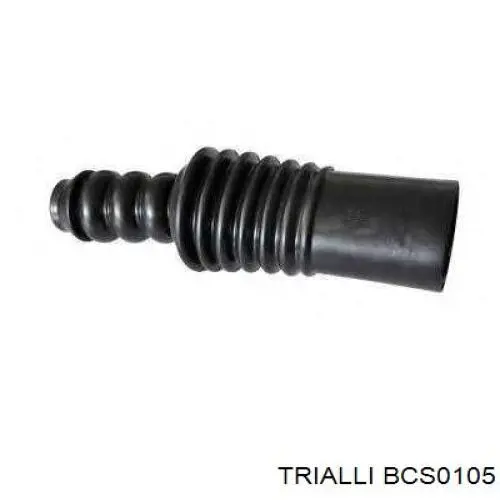 BCS0105 Trialli