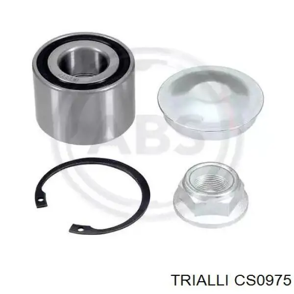 CS0975 Trialli rolamento de cubo traseiro