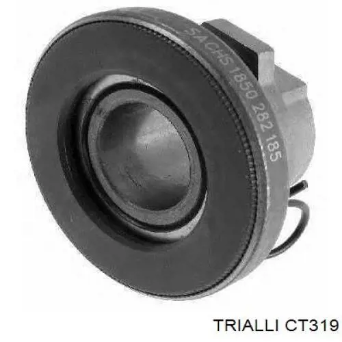 CT319 Trialli