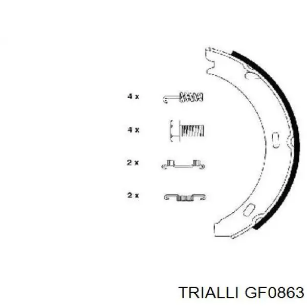 GF0863 Trialli