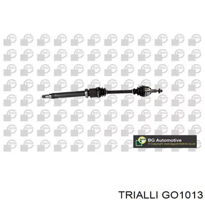 GO1013 Trialli