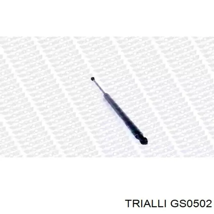 GS0502 Trialli