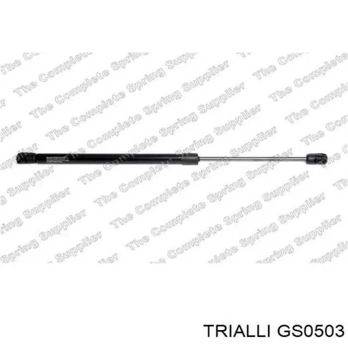 GS0503 Trialli амортизатор капота