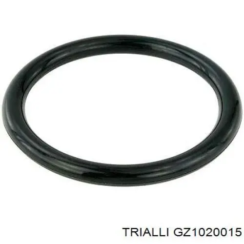 GZ1020015 Trialli
