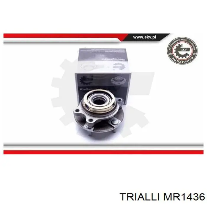 MR1436 Trialli