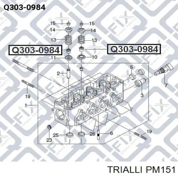 PM151 Trialli сальник коленвала двигателя передний