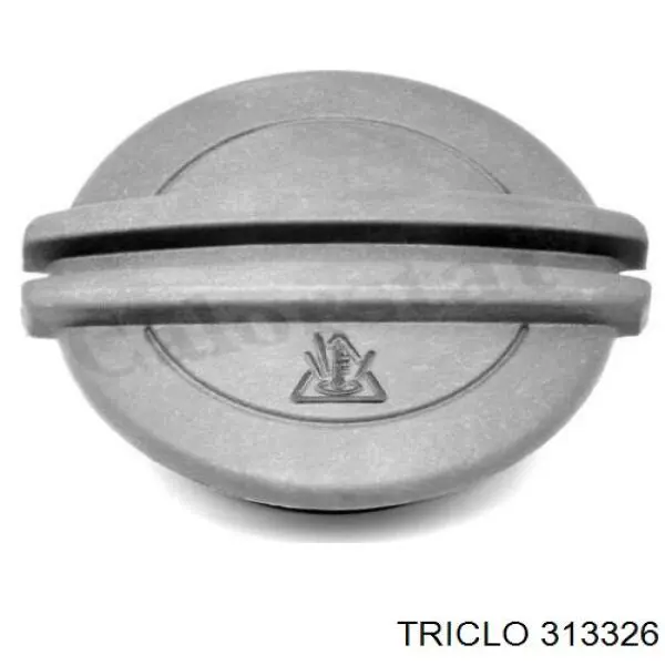 313326 Triclo