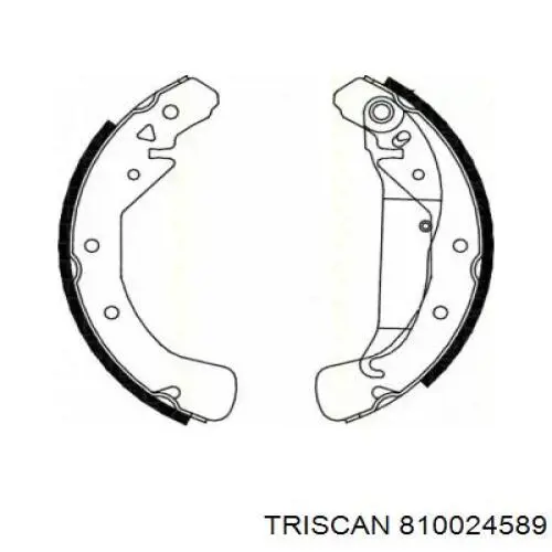 810024589 Triscan Барабанные тормозные колодки