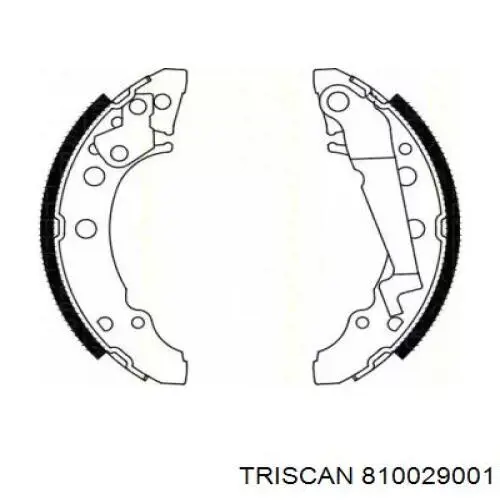 Задние барабанные колодки 810029001 Triscan