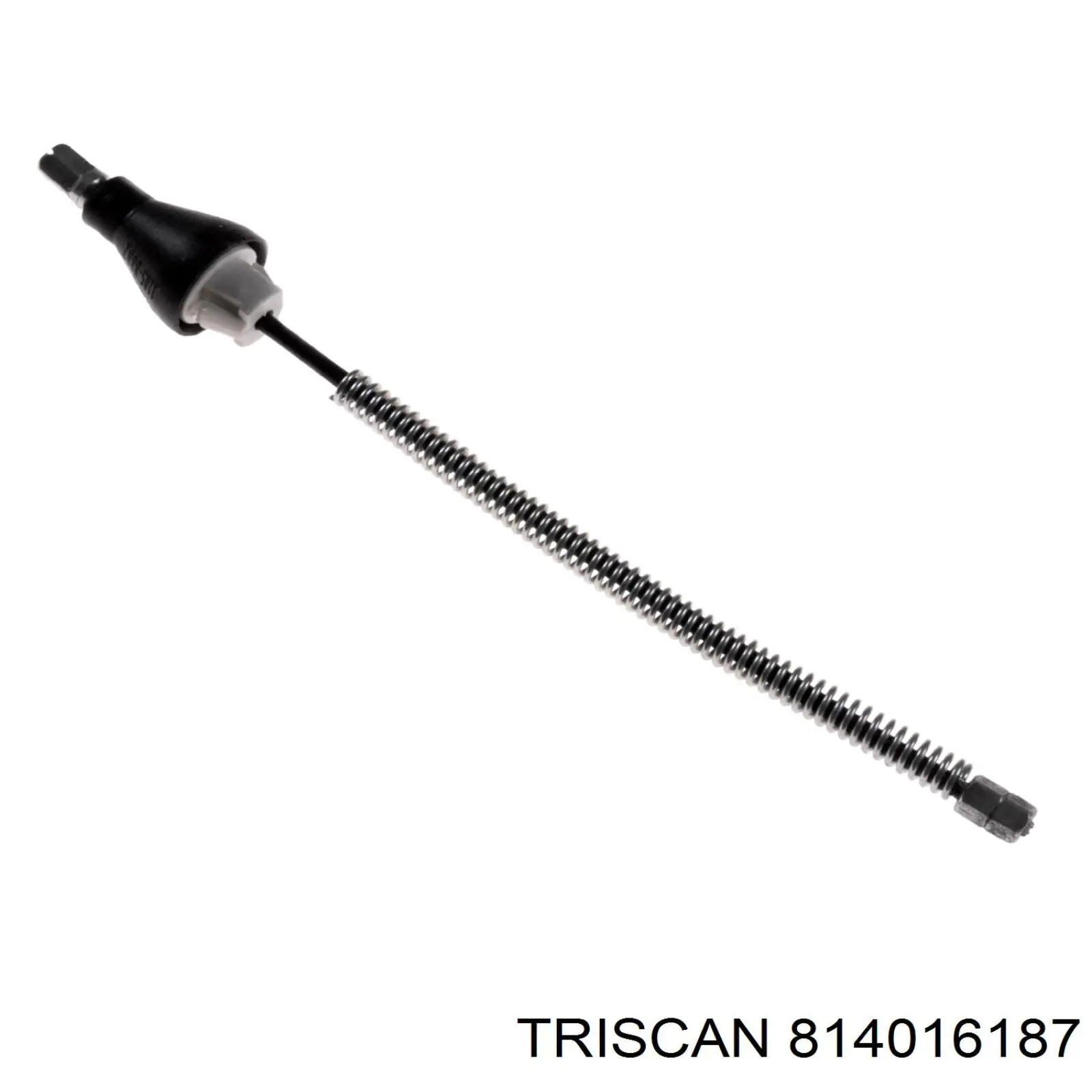 814016187 Triscan