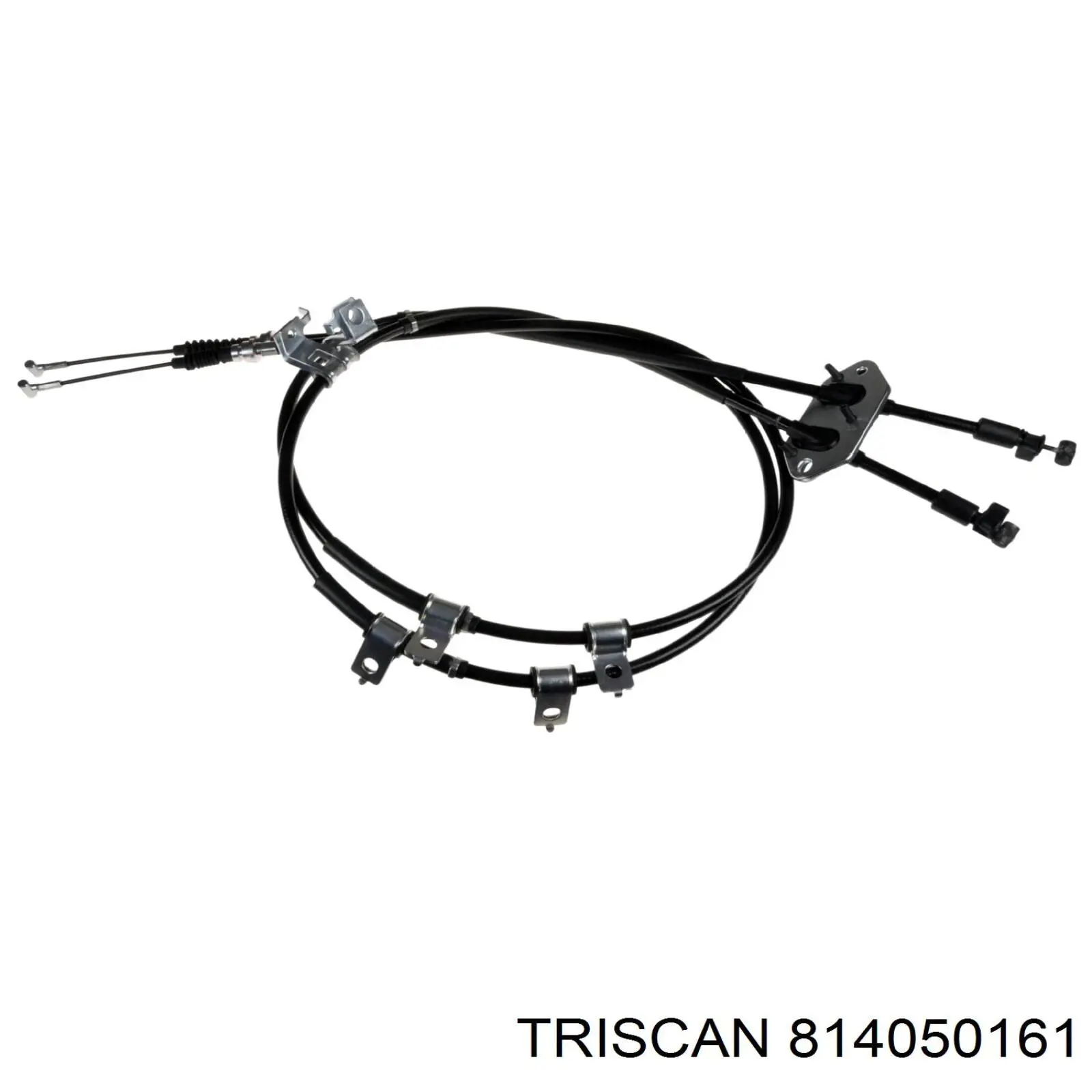 814050161 Triscan