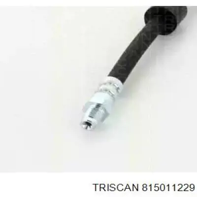 Tubo flexible de frenos trasero 815011229 Triscan