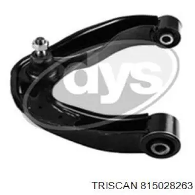 Задний правый тормозной шланг Triscan 815028263