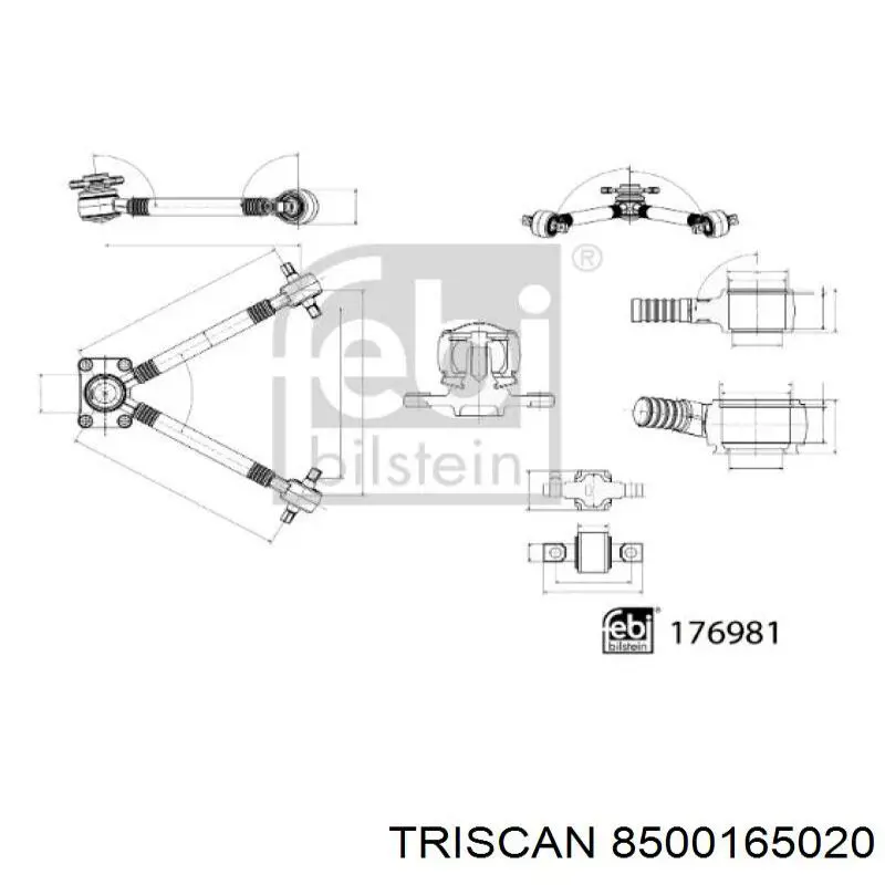 Рычаг задней подвески нижний левый/правый 8500165020 Triscan