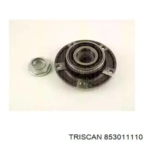 853011110 Triscan