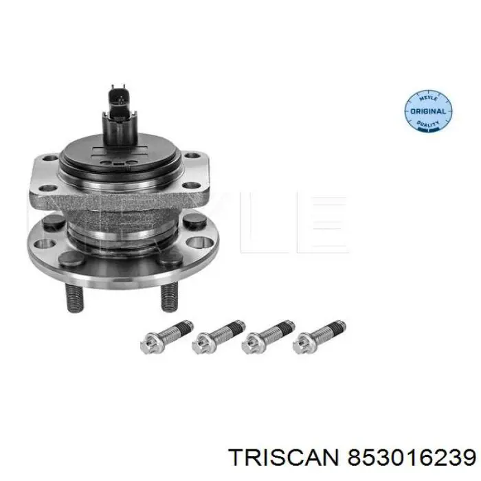 Cubo de rueda trasero 853016239 Triscan