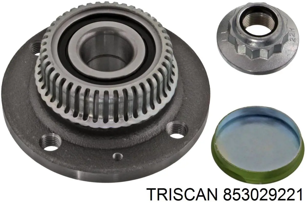 Cubo de rueda trasero 853029221 Triscan