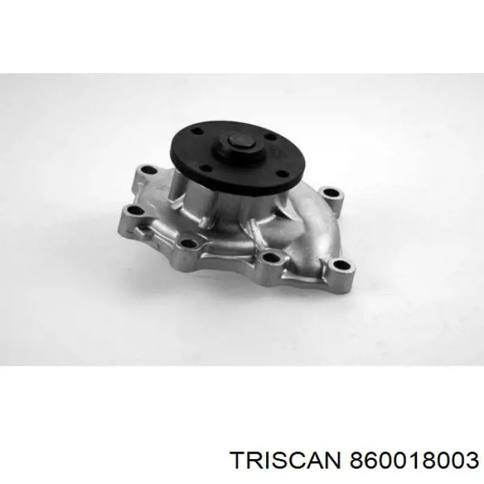 Помпа 860018003 Triscan