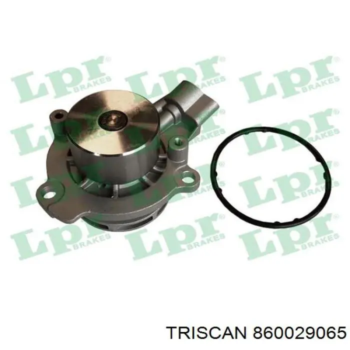 Помпа 860029065 Triscan