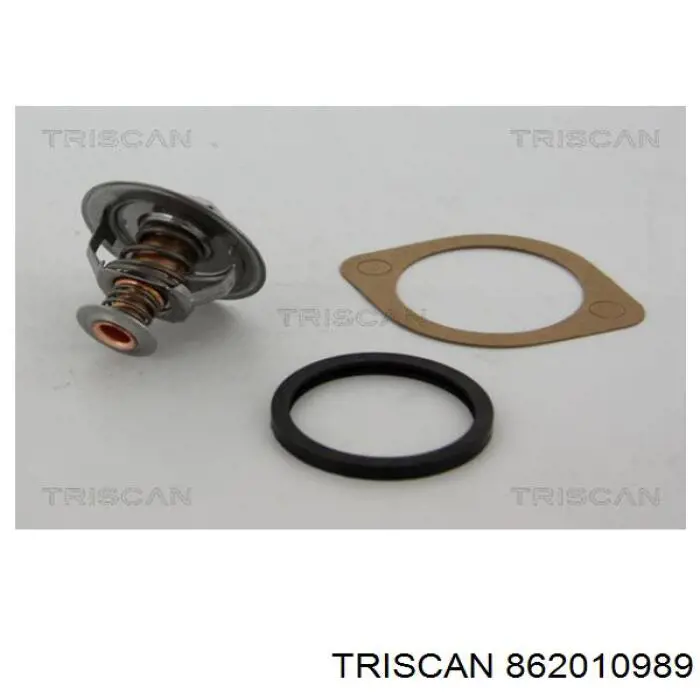 862010989 Triscan термостат
