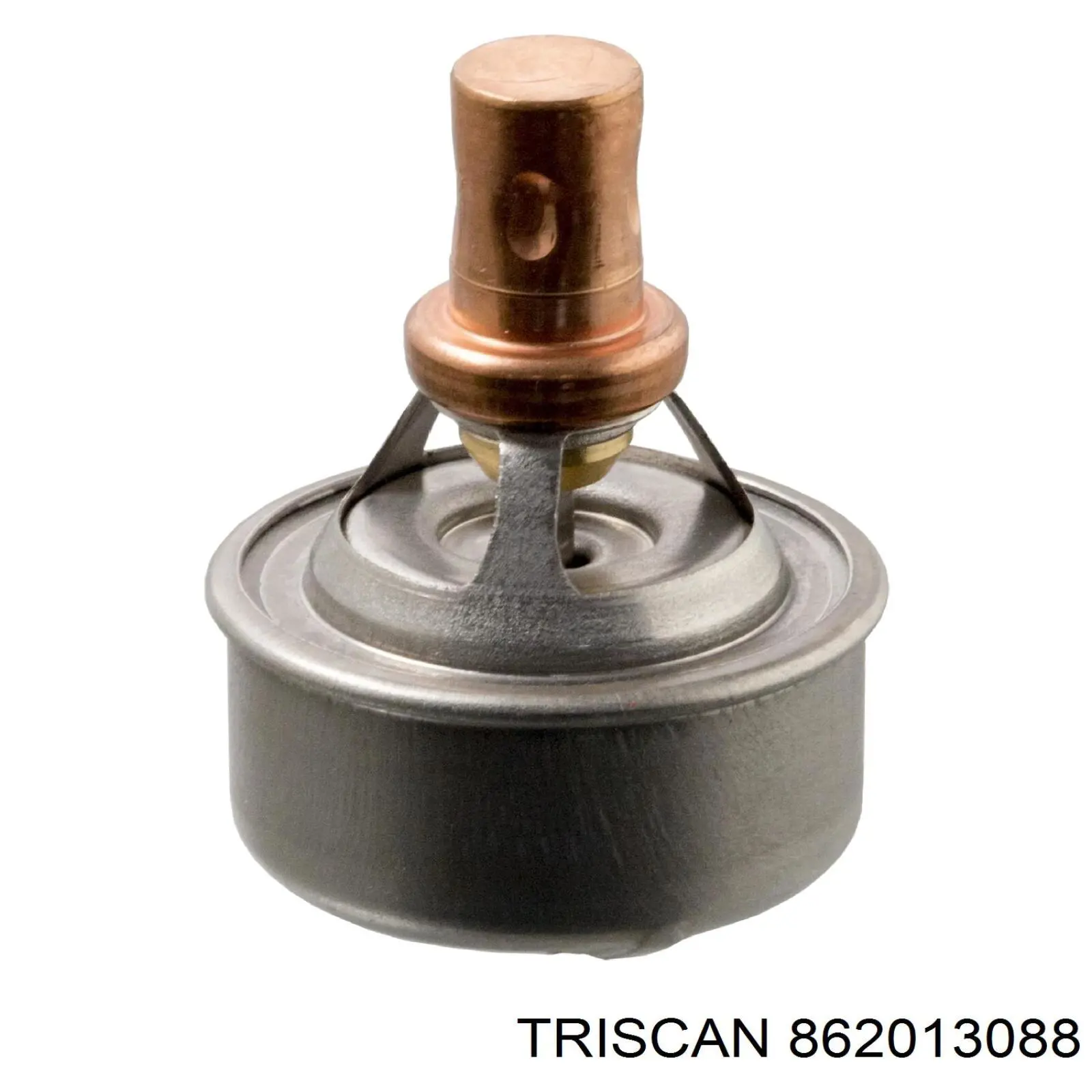 862013088 Triscan термостат