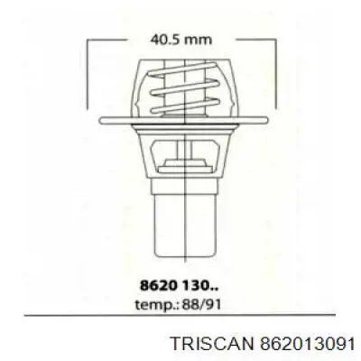 862013091 Triscan термостат