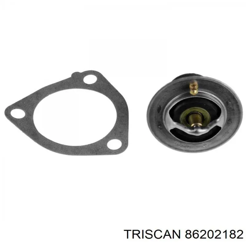 Термостат 2120069T06 Nissan/Infiniti