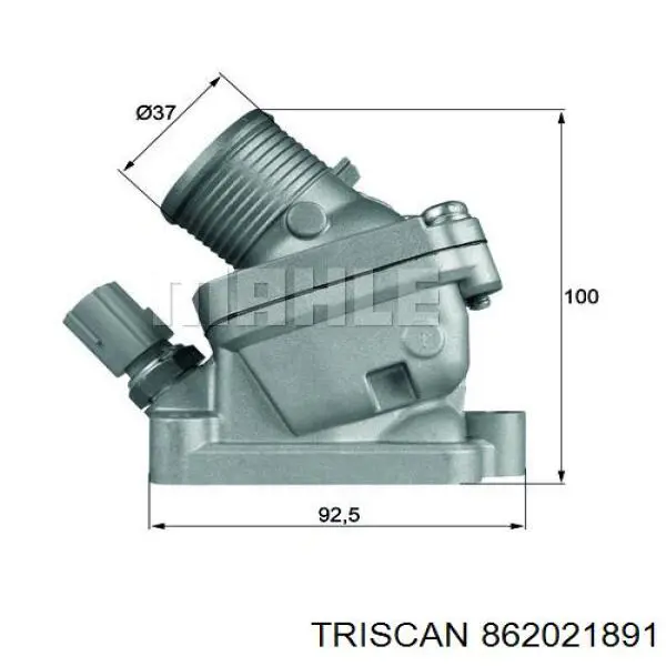 862021891 Triscan