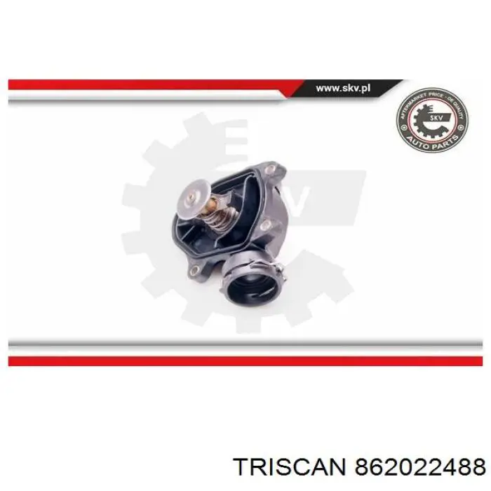 Термостат 862022488 Triscan