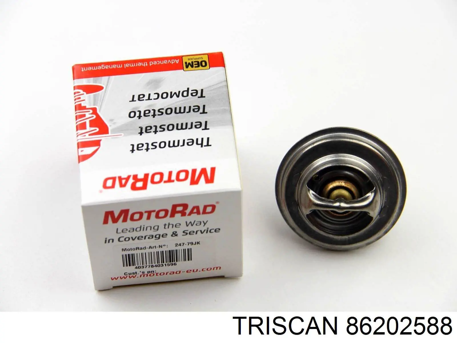 Термостат 86202588 Triscan