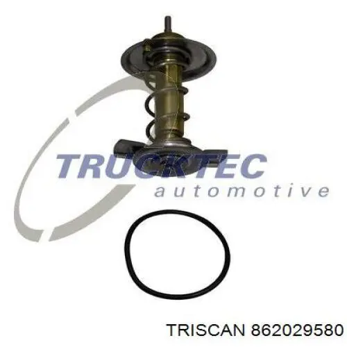 862029580 Triscan термостат