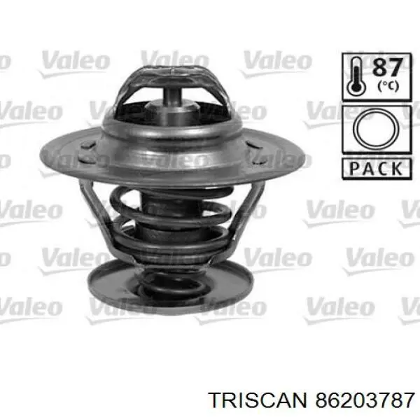 Термостат в сборе Triscan 86203787