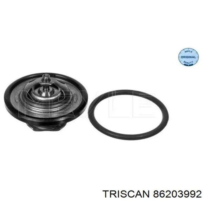 86203992 Triscan