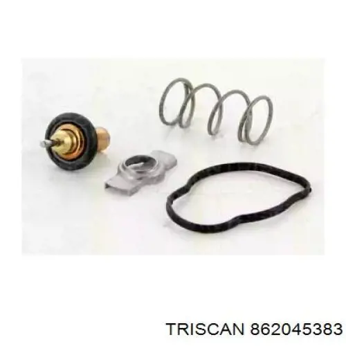 862045383 Triscan termostato