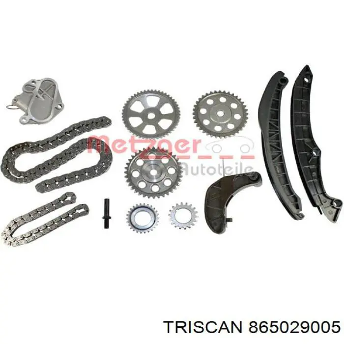Комплект цепи ГРМ 865029005 Triscan