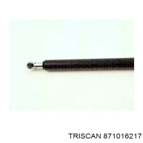 871016217 Triscan